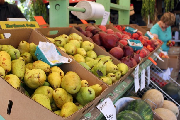 Draper Girls Country Farm