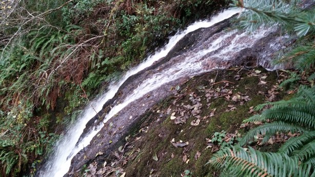 Thompson Falls Heights Estates