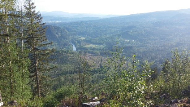 Nehalem River viewpoint