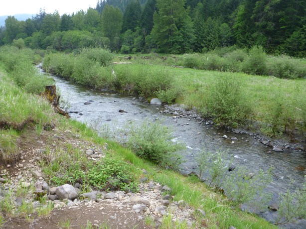 Manager's Campground Spot #1 on The McKenzie River